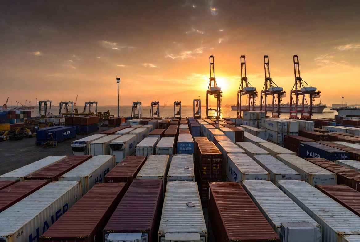 Egyptian Fresh Produce Exporter