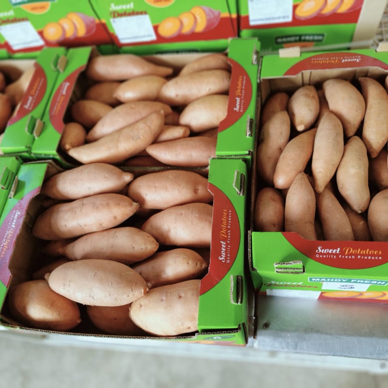 Sweet Potato