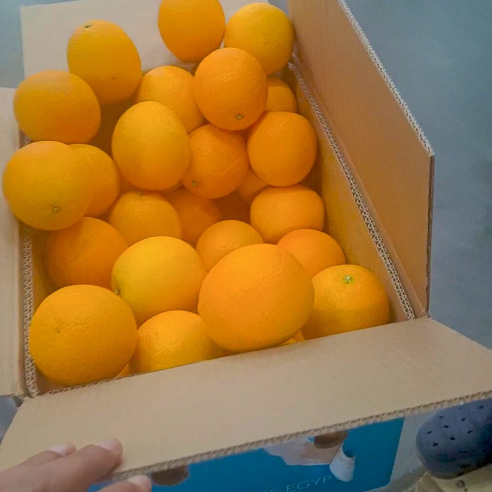 NAVEL ORANGES 2 Egyptian Premium Navel oranges export for European fresh juice and retail