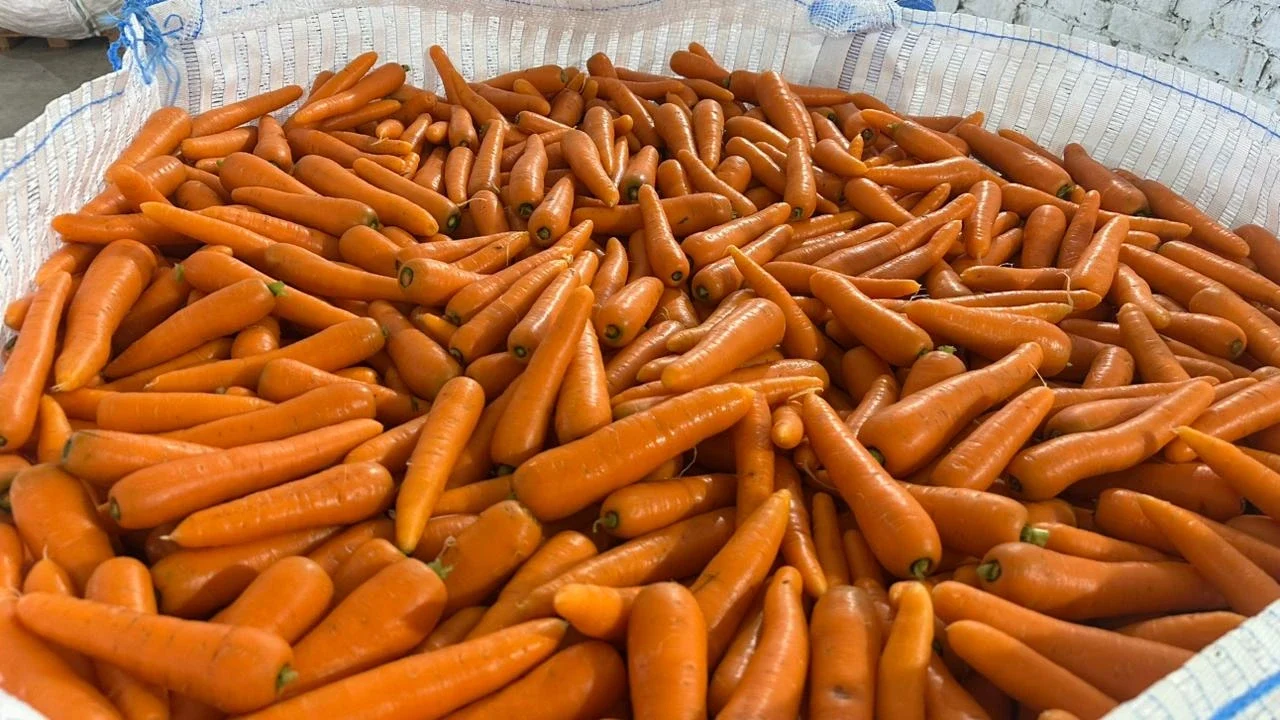 Egyptian Fresh Carrots 01