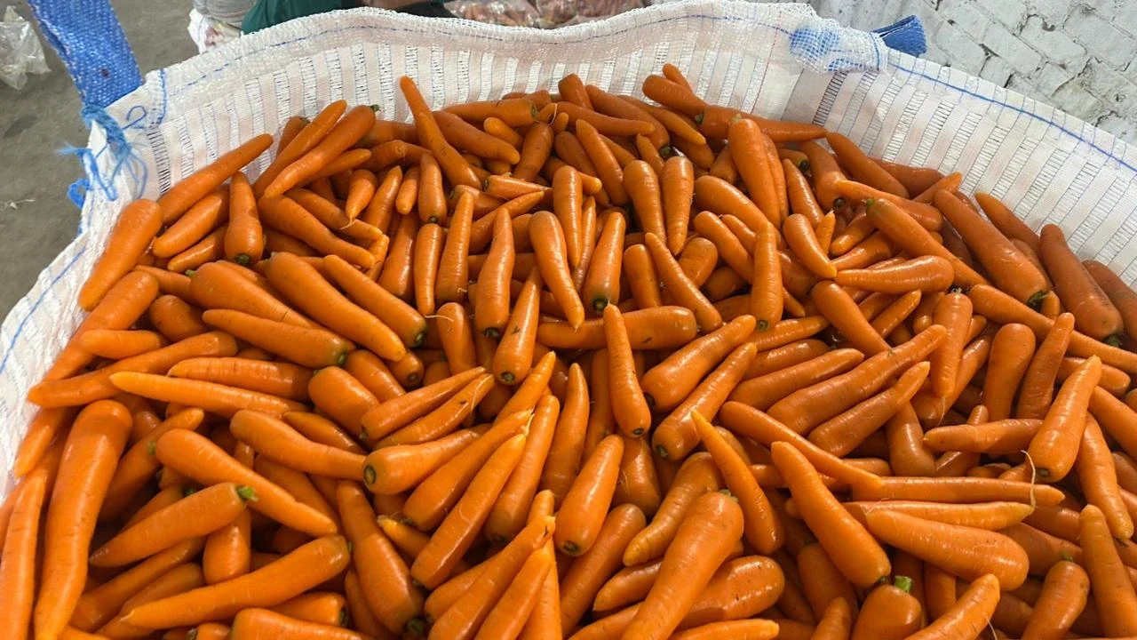 Egyptian Fresh Carrots 02