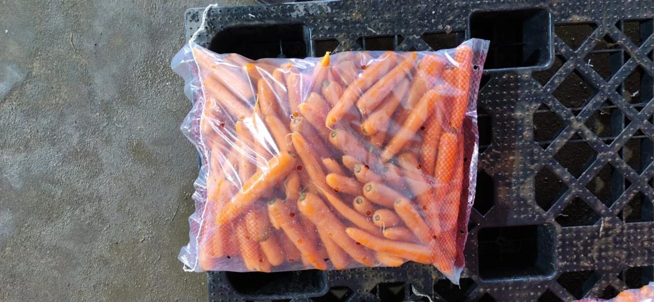 Egyptian Fresh Carrots 07