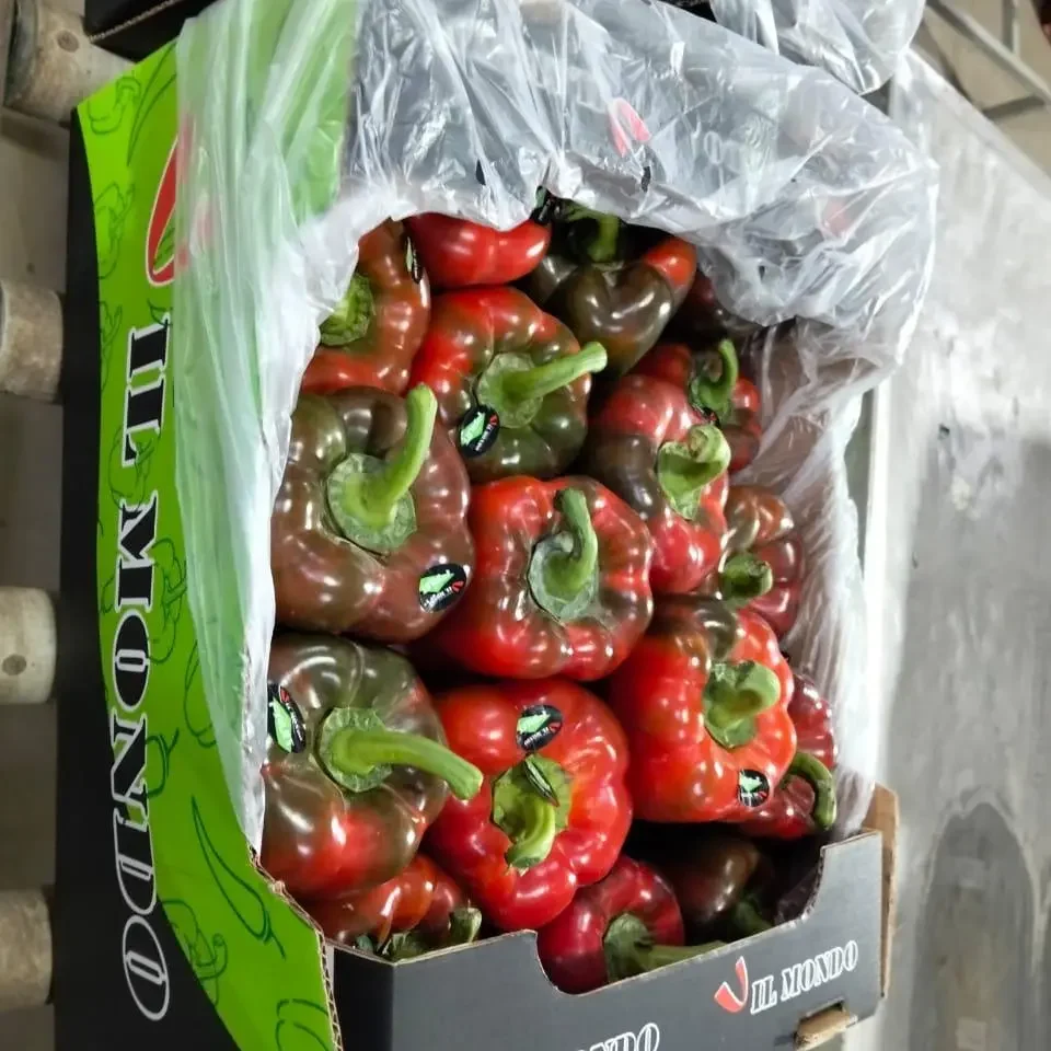Colored bell pepper 3