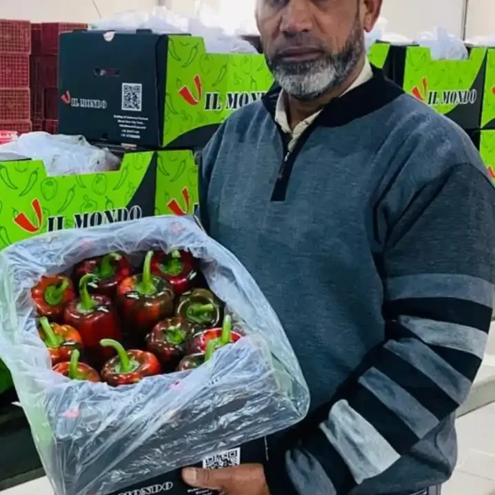 Colored bell pepper box