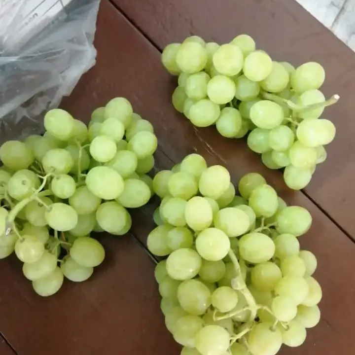 Egyptian Grapes 3 Egyptian Grape2