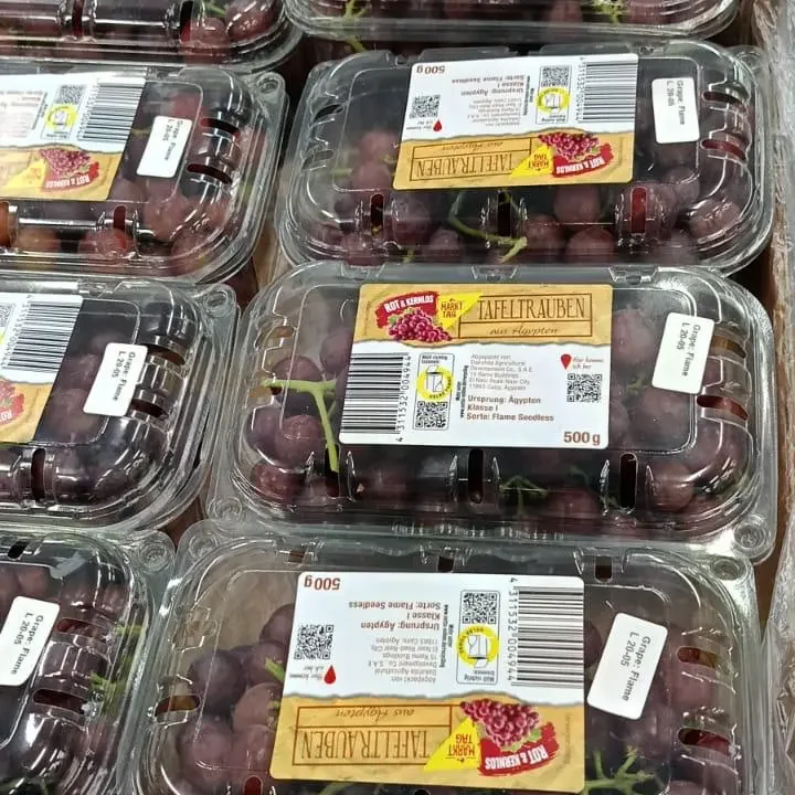 Egyptian Grapes 4 Egyptian Grape3