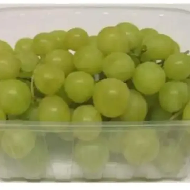 Egyptian Grapes 8 Egyptian Grape7