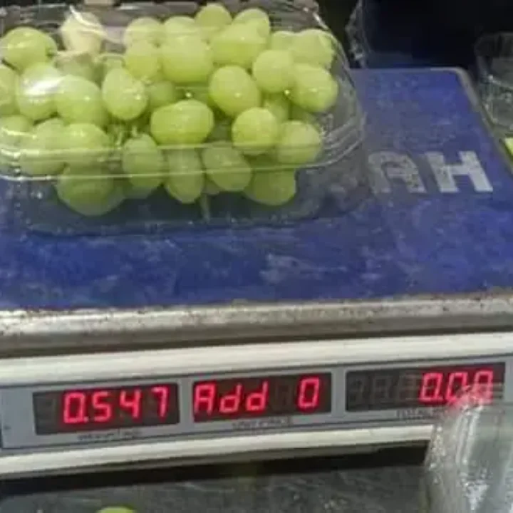 Egyptian Grapes 9 Egyptian Grape8