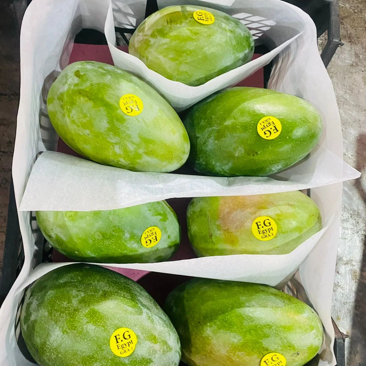 MANGOES 6 Mangoes1