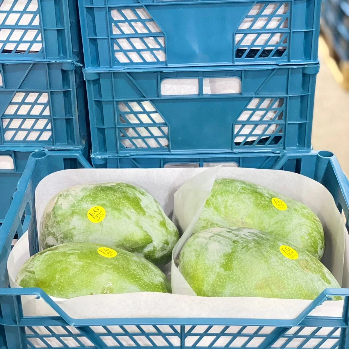MANGOES 5 Mangoes6