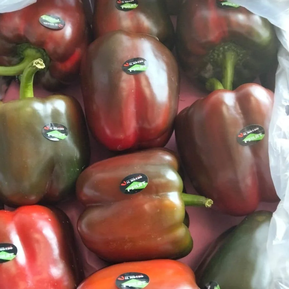 Red bell pepper