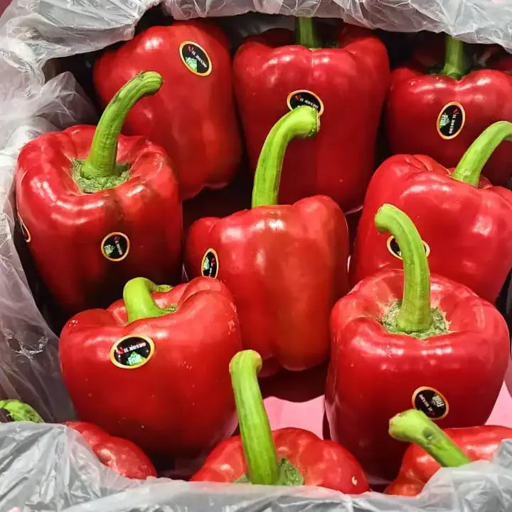 pepper red 1