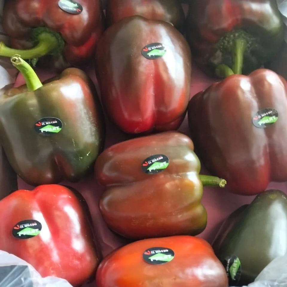 red bell pepper2