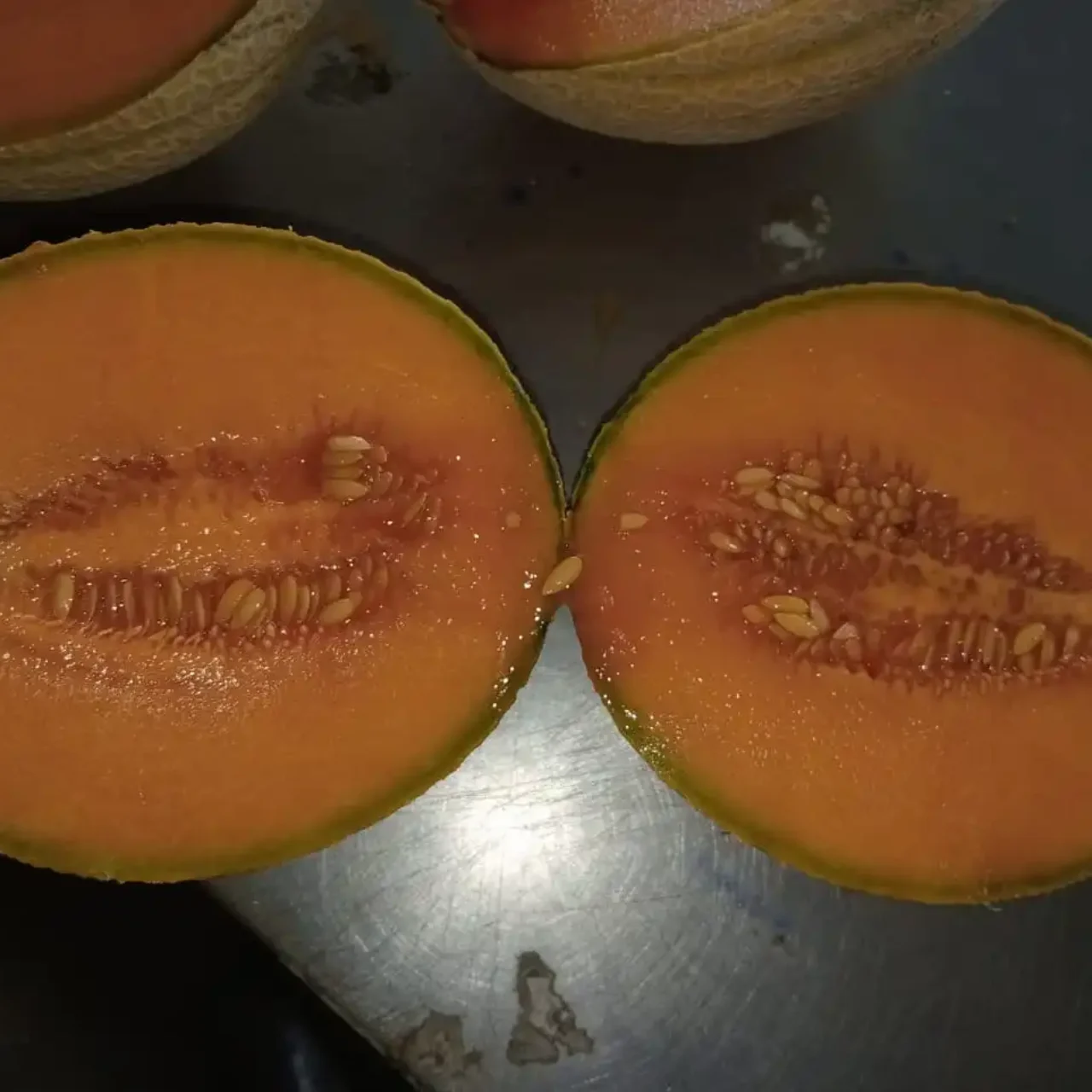 Cantaloup13