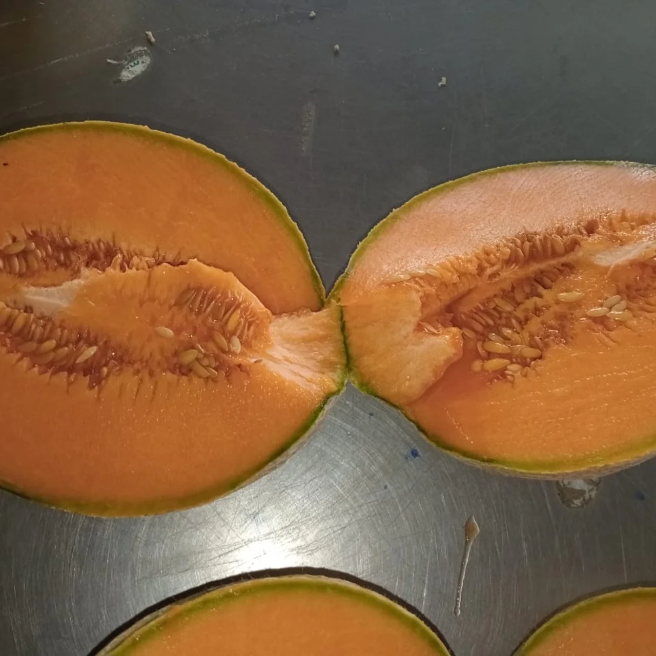 Cantaloup7
